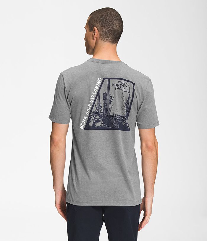 Camiseta The North Face Hombre Gris Manga Corta Camp 90718SKWI